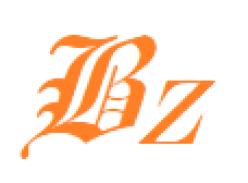 Batiz Group Ltd
